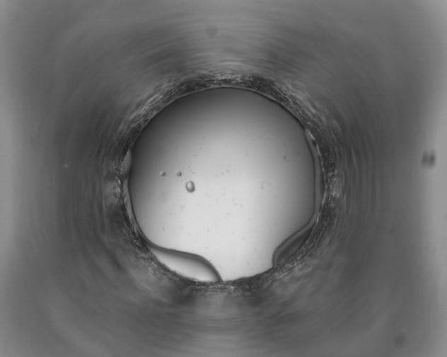 X0000090610916200707241103