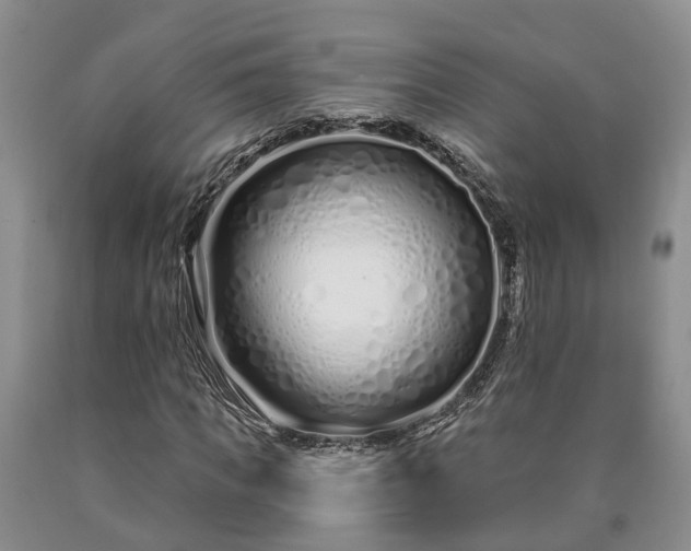 X0000090610917200707241103