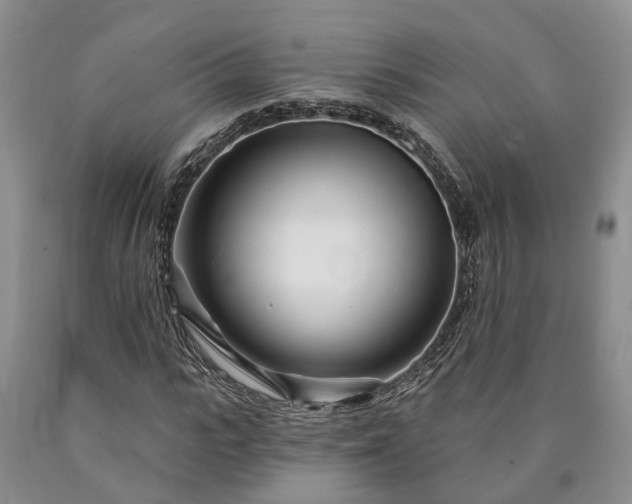 X0000090610919200707241103