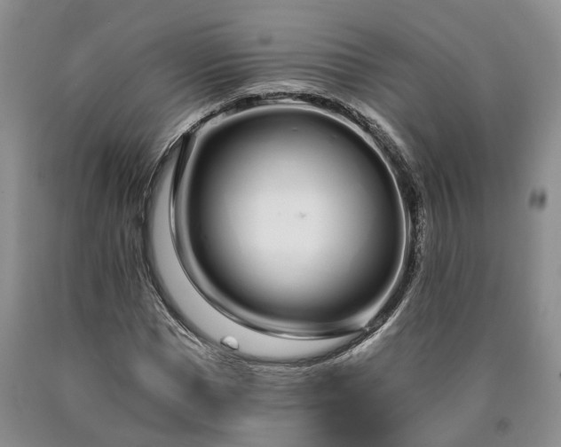 X0000090610921200707241103