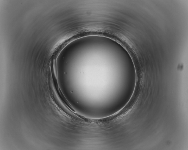 X0000090610922200707241103