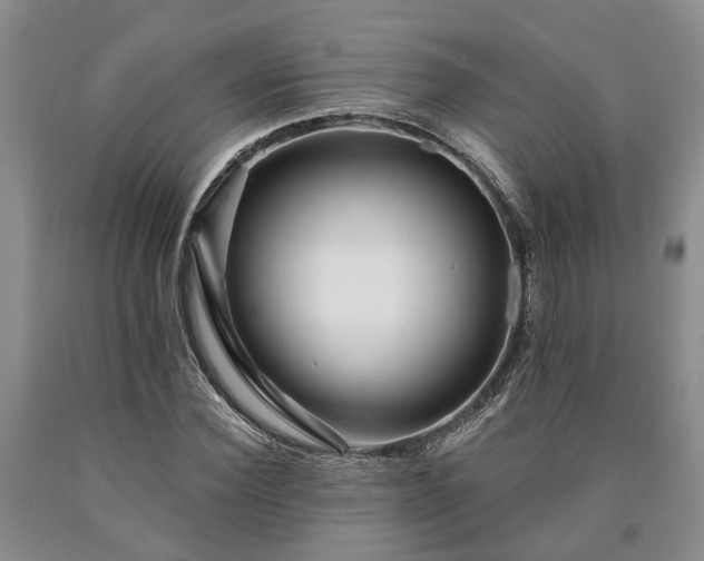 X0000090610924200707241103