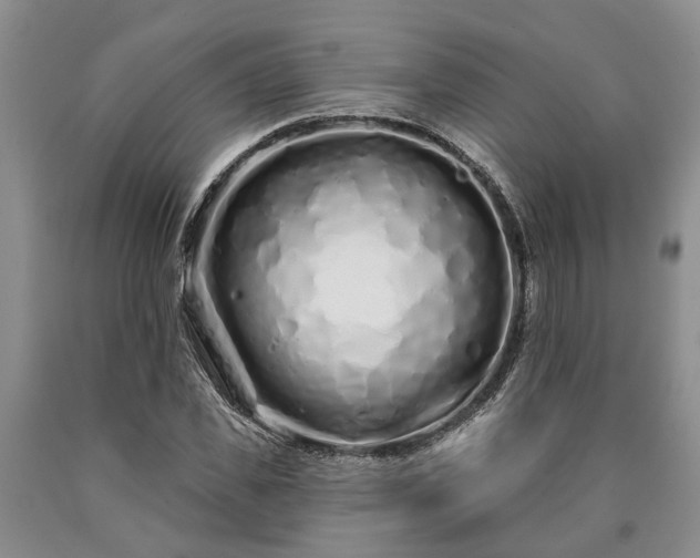 X0000090610925200707241103