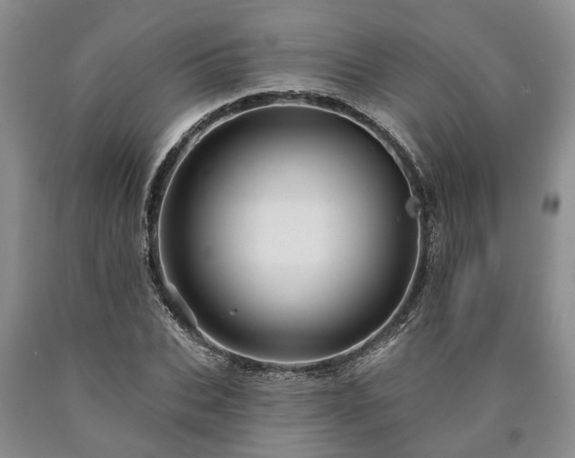 X0000090610927200707241103