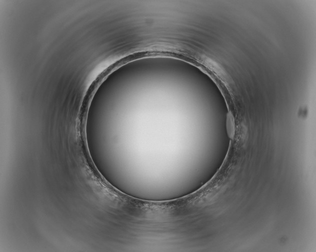 X0000090610928200707241103