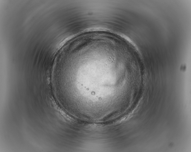 X0000090610929200707241103