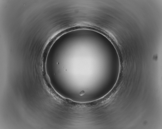 X0000090610931200707241103