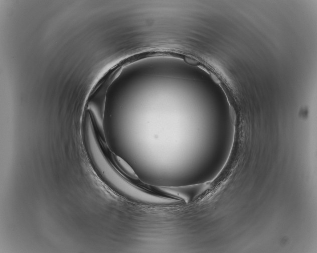 X0000090610932200707241103