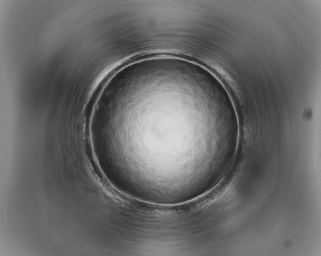 X0000090610933200707241103