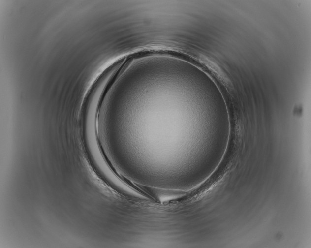 X0000090610934200707241103