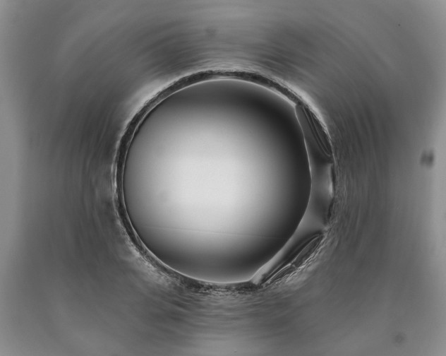 X0000090610935200707241103