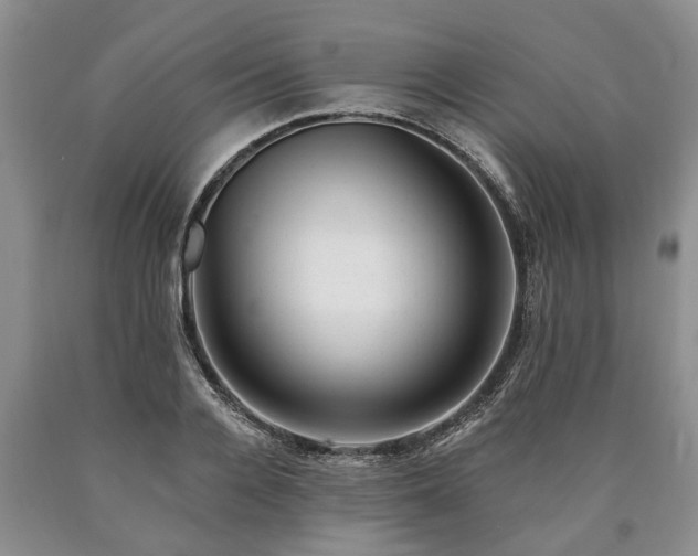 X0000090610936200707241103