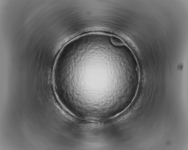 X0000090610937200707241103