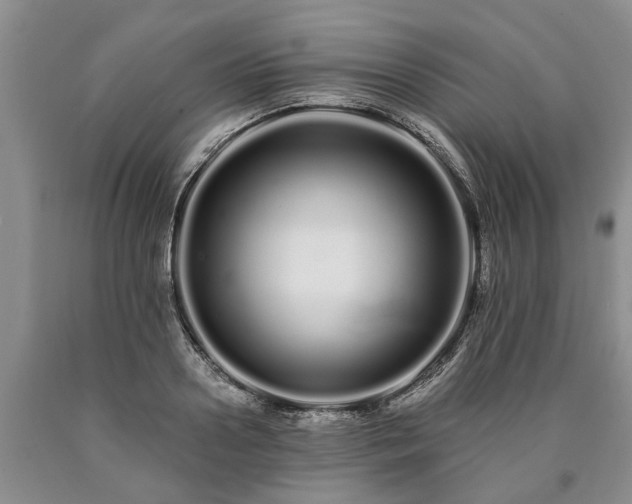 X0000090610938200707241103