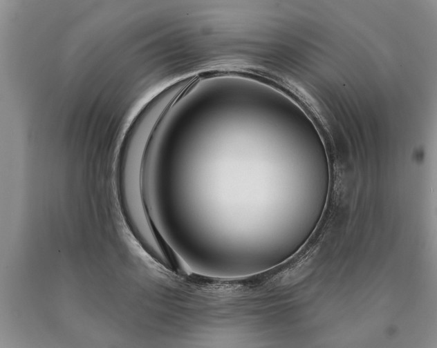 X0000090610939200707241103