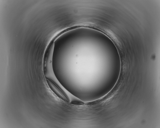 X0000090610940200707241103