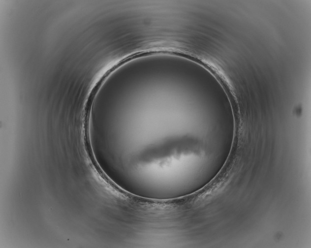 X0000090610941200707241103