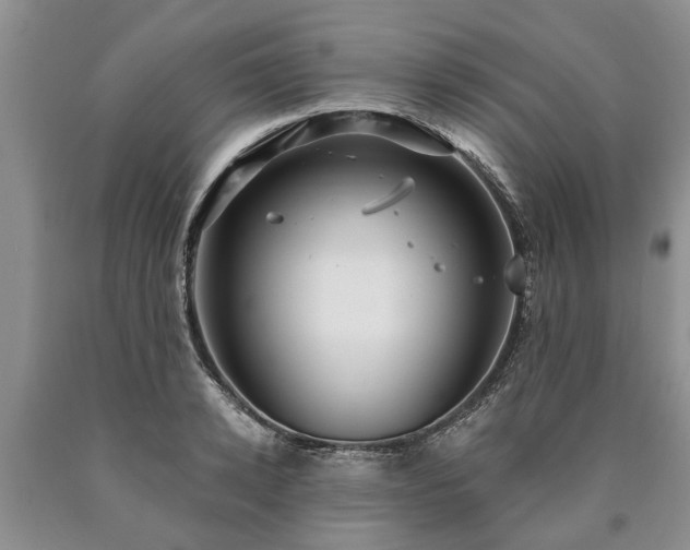 X0000090610942200707241103