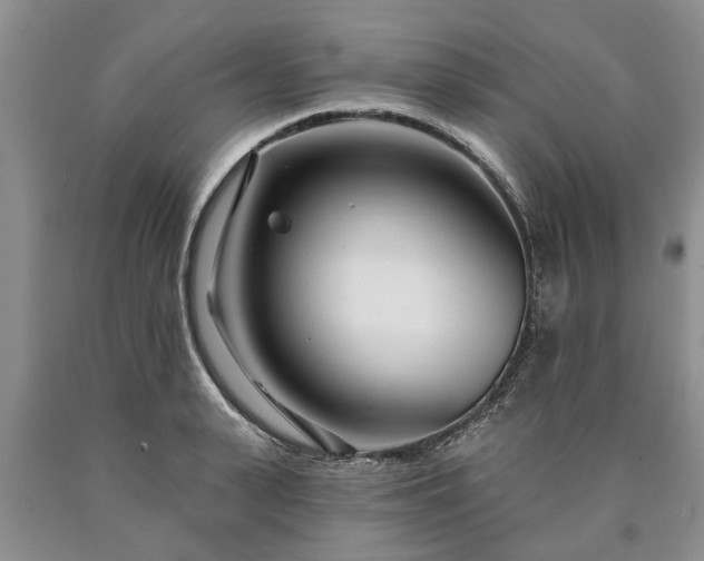 X0000090610943200707241103