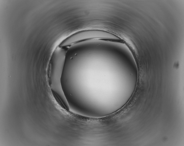 X0000090610944200707241103