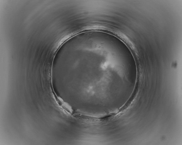 X0000090610945200707241103