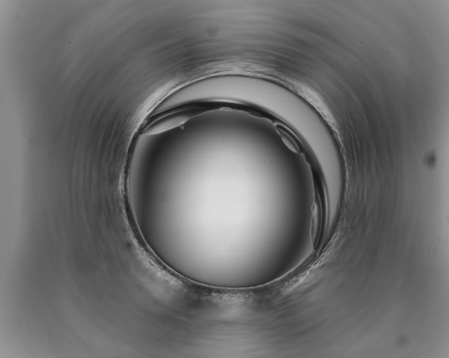 X0000090610946200707241104