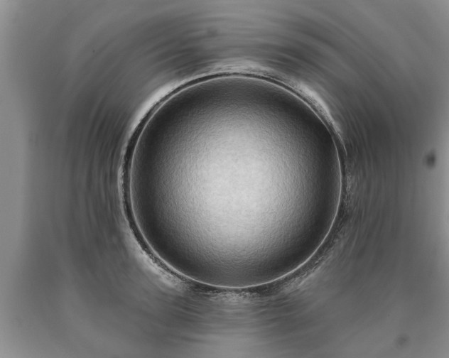 X0000090610947200707241104