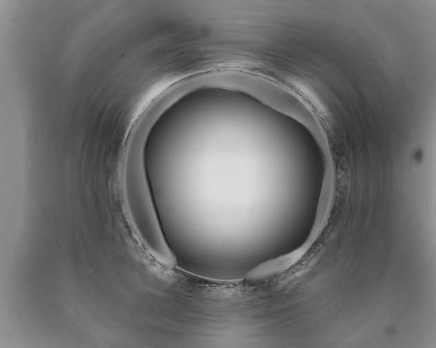 X0000090610948200707241104