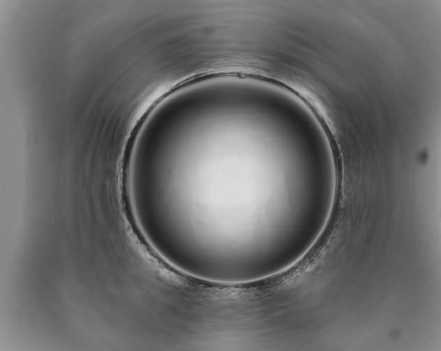 X0000090610949200707241104