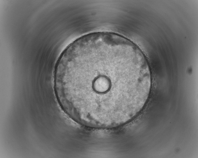 X0000090610950200707241104