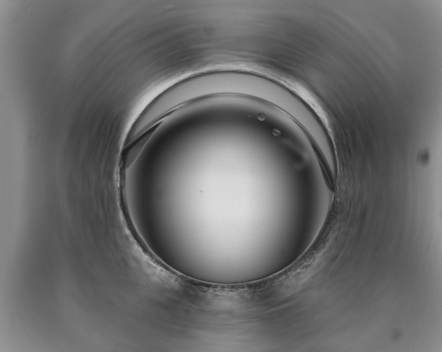 X0000090610951200707241104