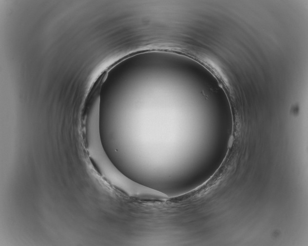 X0000090610952200707241104