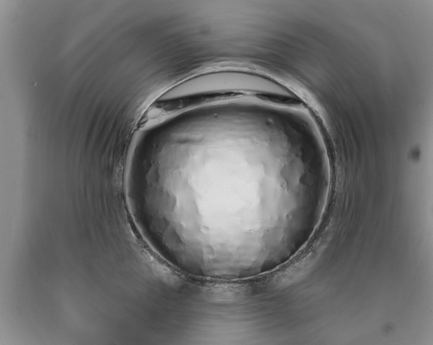 X0000090610953200707241104