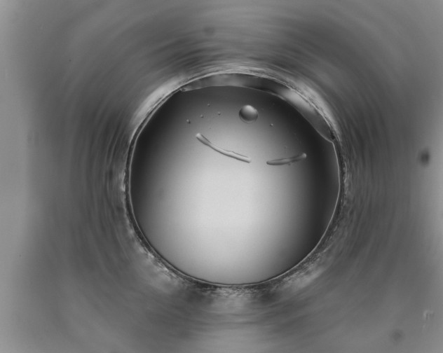 X0000090610954200707241104