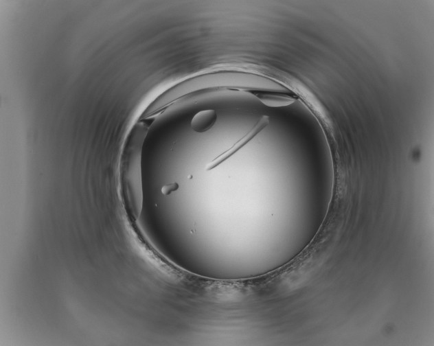 X0000090610955200707241104