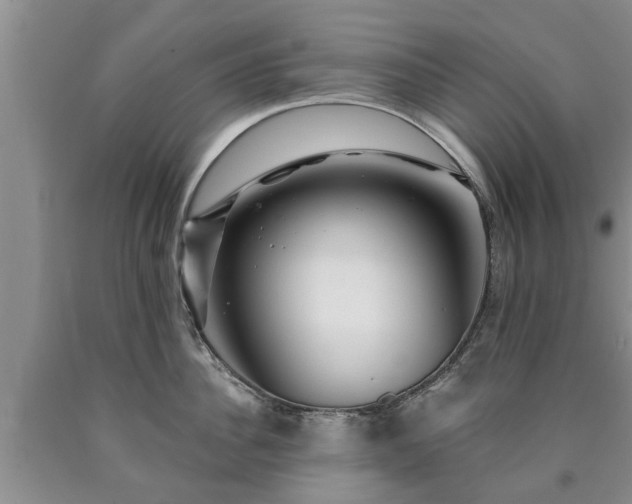 X0000090610956200707241104