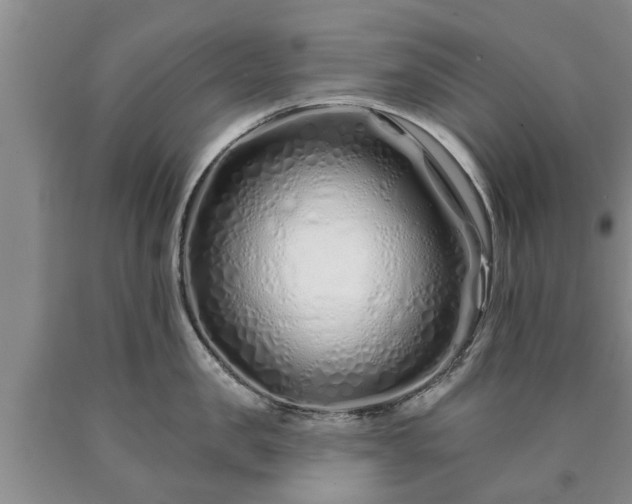 X0000090610957200707241104