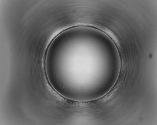 X0000090610958200707241104