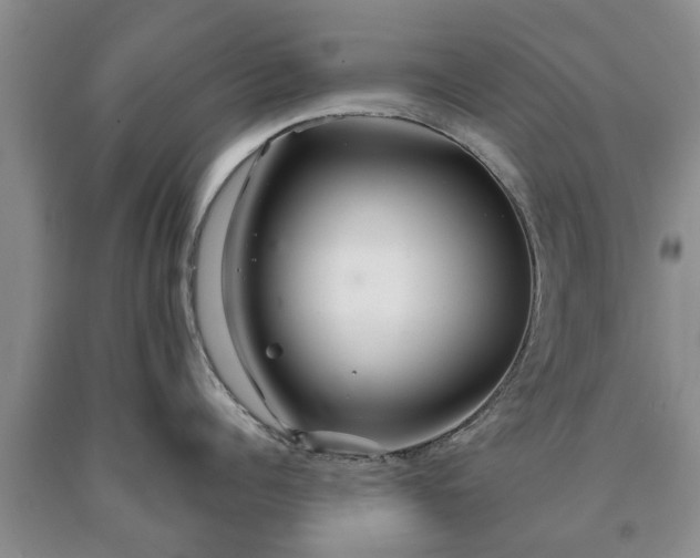 X0000090610960200707241104