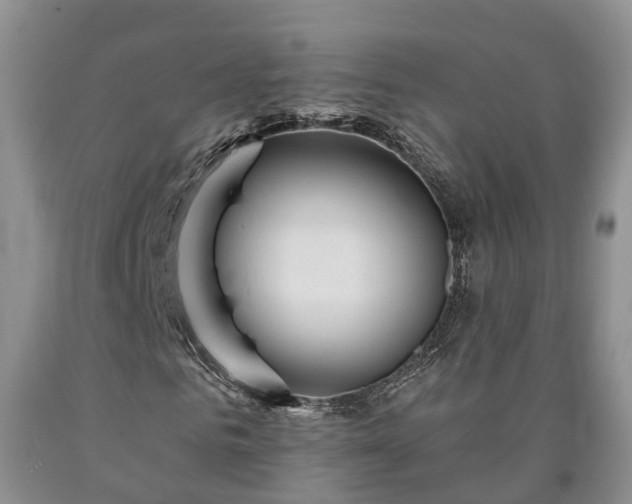 X0000090610961200707241103