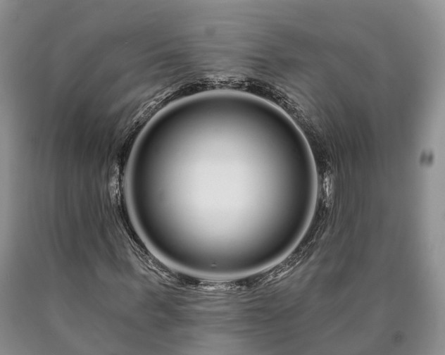 X0000090610963200707241103