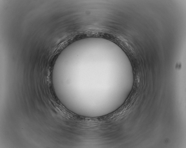 X0000090610964200707241103