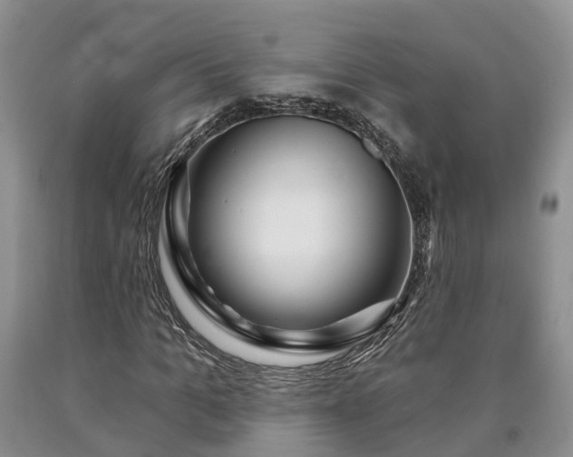 X0000090610965200707241103