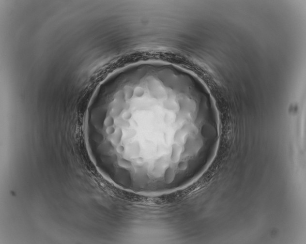 X0000090610966200707241103