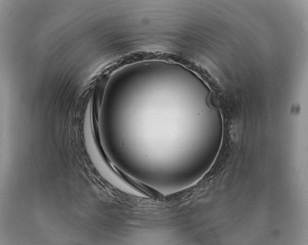 X0000090610968200707241103