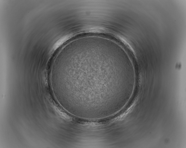 X0000090610970200707241103