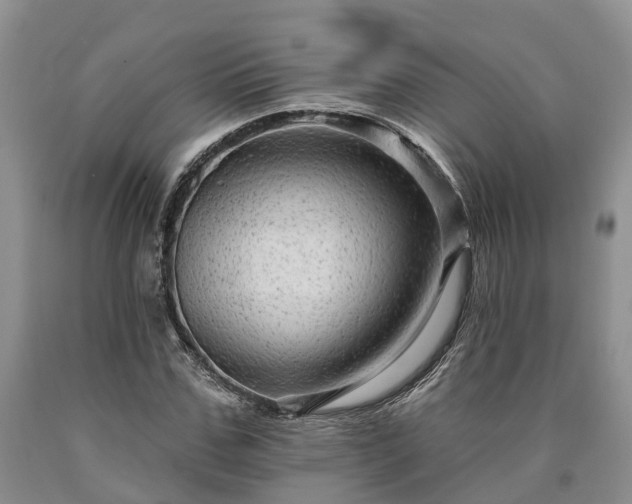 X0000090610971200707241103