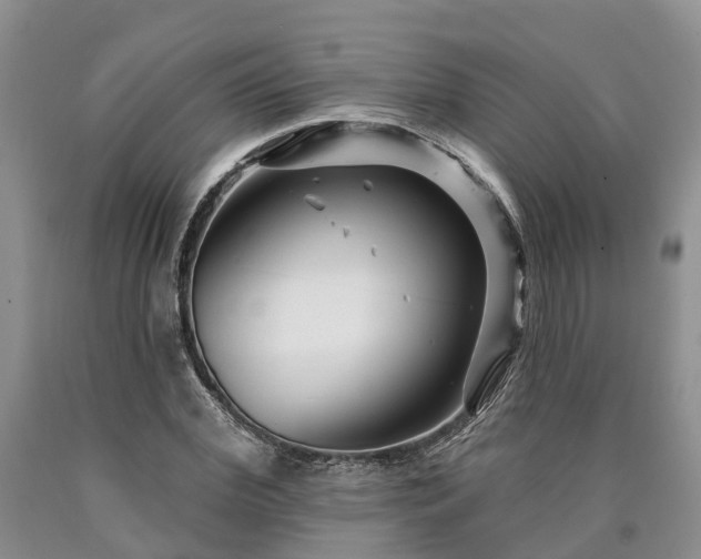 X0000090610972200707241103