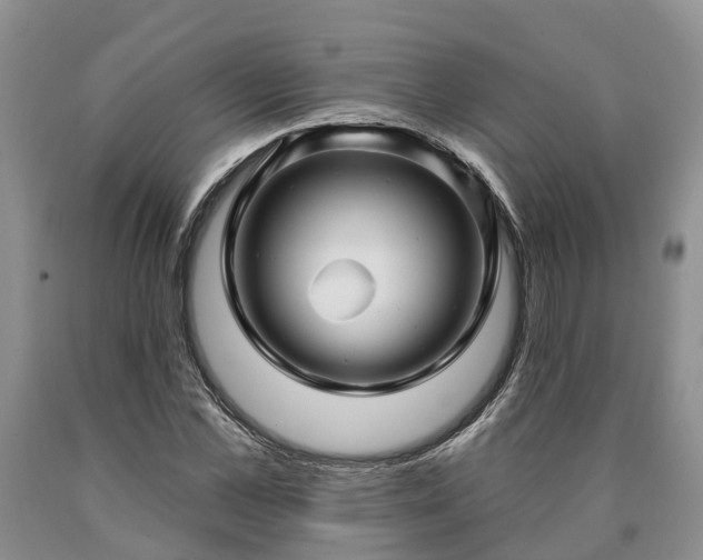 X0000090610973200707241103