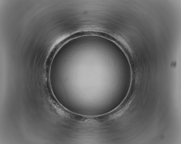 X0000090610974200707241103